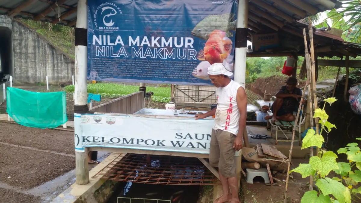 Pokdakan Nila Makmur Ciptakan Kemadirian Pangan Pokdakan Nila Makmur Ciptakan Kemadirian Pangan