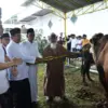 Idul Adha Jadi Momentum Perkuat Solidaritas Sosial dan Menyembelih Sifat Buruk