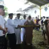 Bantuan Hewan kurban dari Presiden Republik Indonesia Prabowo Subianto berupa seekor sapi berbobot 1,1 ton ata