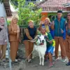 Menjelang Hari Raya Idul Adha 1447 Hijriah, Dinas Perikanan dan Peternakan Kabupaten Sumedang memastikan selur