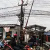PLN