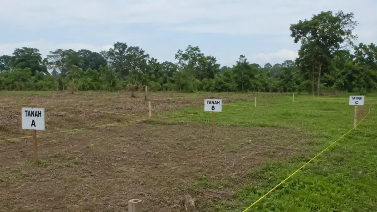 Kenali Prosedur dan Syarat Pemisahan Bidang Tanah