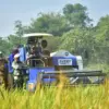 Bupati Sumedang H. Dony Ahmad Munir menghadiri kegiatan Panen Raya sekaligus menyerahkan Alat dan Mesin Pertan