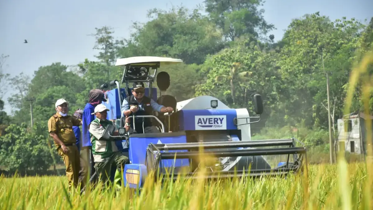 Bupati Dony Hadiri Panen Raya di Tolengas: Komitmen Perkuat Ketahanan Pangan Bupati Sumedang H. Dony Ahmad Munir menghadiri kegiatan Panen Raya sekaligus menyerahkan Alat dan Mesin Pertan