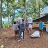 Di Tengah Bentang Kepulauan Talaud, Mantri BRI Hadir Menggerakkan Denyut Nadi Perekonomian Di Tengah Bentang Kepulauan Talaud, Mantri BRI Hadir Menggerakkan Denyut Nadi Perekonomian