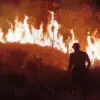 96,69 Hektare Lahan Terbakar