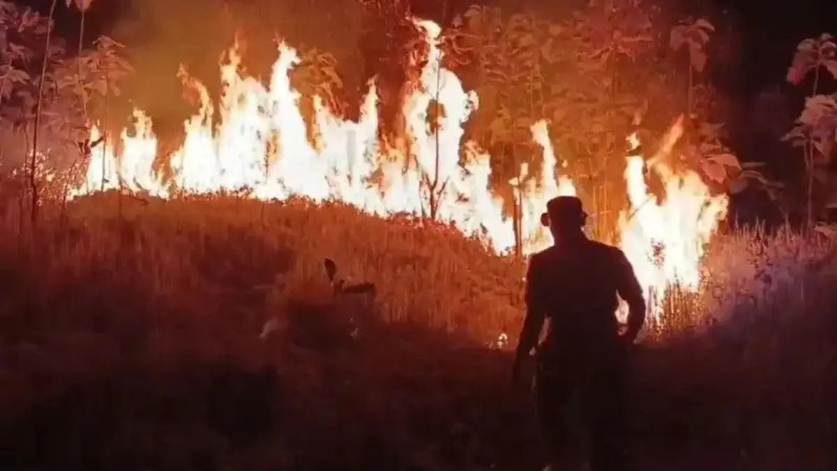 96,69 Hektare Lahan Terbakar 96,69 Hektare Lahan Terbakar