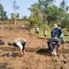 Tabela Pangkas Waktu Tanam Padi