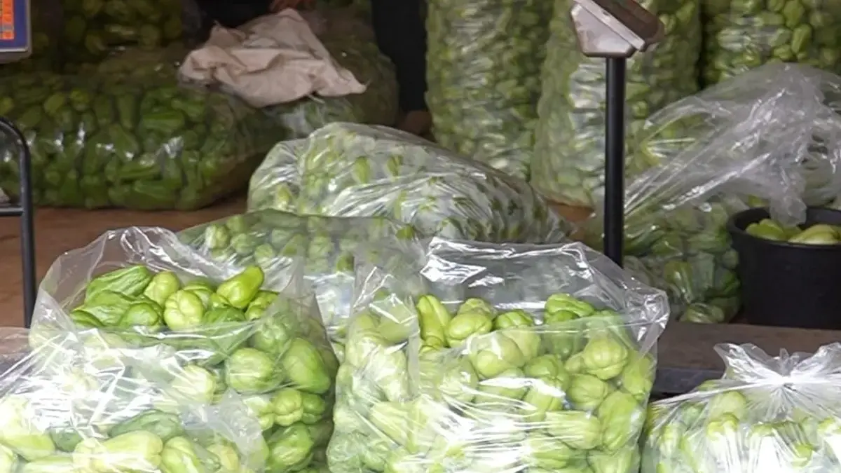 Petani Labu Siam Cibubut Raup Omzet Jutaan Rupiah, Bupati Sumedang Apresiasi Petani Milenial