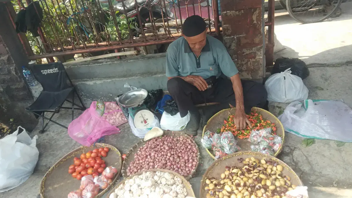 Cabai Domba Tembus Rp100 Ribu Cabai Domba Tembus Rp100 Ribu