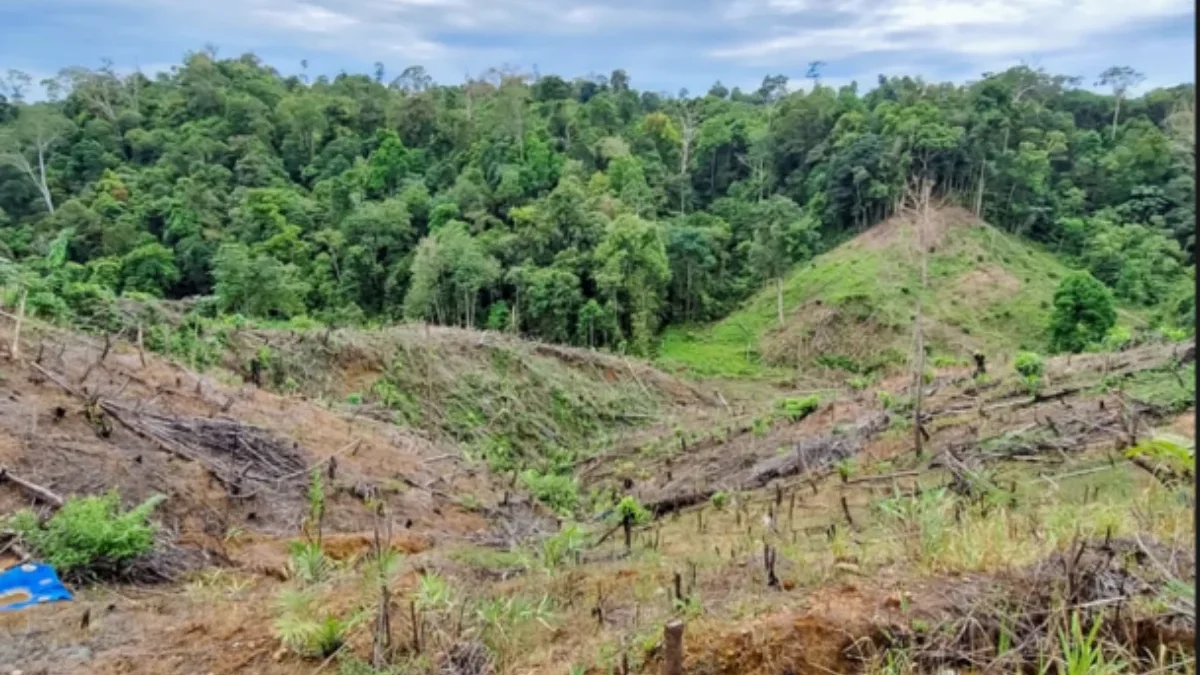 UU Pengaturan Reforma Agraria Buka Jalan Pemulihan Hak Masyarakat dalam Konflik Pertanahan UU Pengaturan Reforma Agraria Buka Jalan Pemulihan Hak Masyarakat dalam Konflik Pertanahan