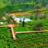 Cisoka Eco Green Park tempat wisata di Sumedang