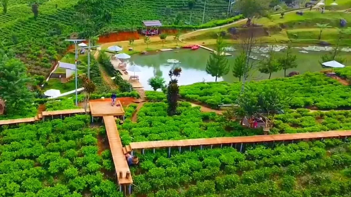 Cisoka Eco Green Park tempat wisata di Sumedang