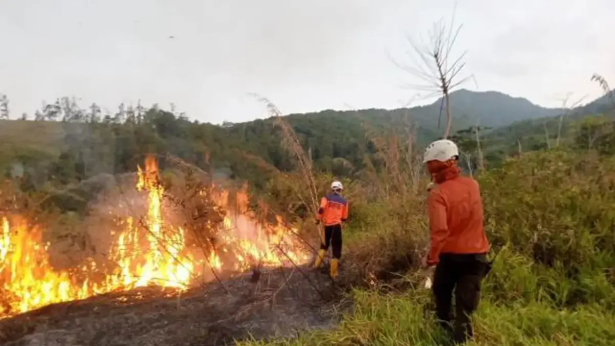 Karhutla Belum Reda Tembus 75 Kasus Sumedang Jadi Daerah Kejadian Terbanyak Karhutla Belum Reda Tembus 75 Kasus Sumedang Jadi Daerah Kejadian Terbanyak