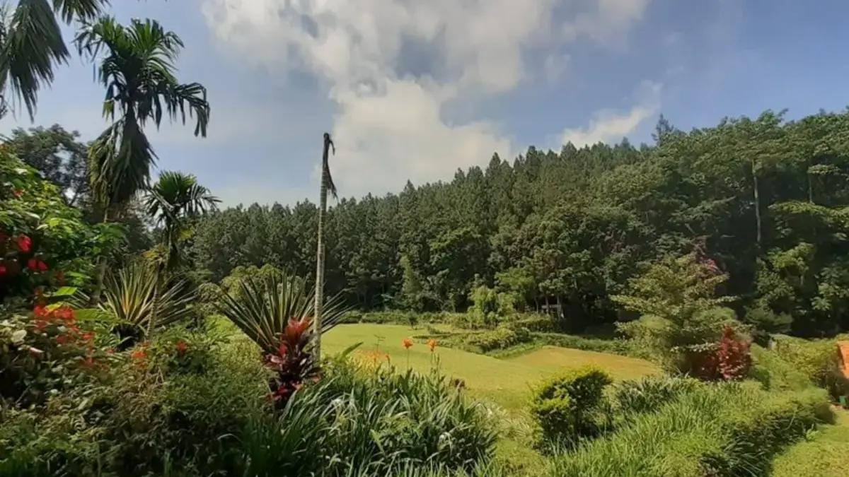 Pangjugjugan, Teduhnya Wisata di Tengah Hutan