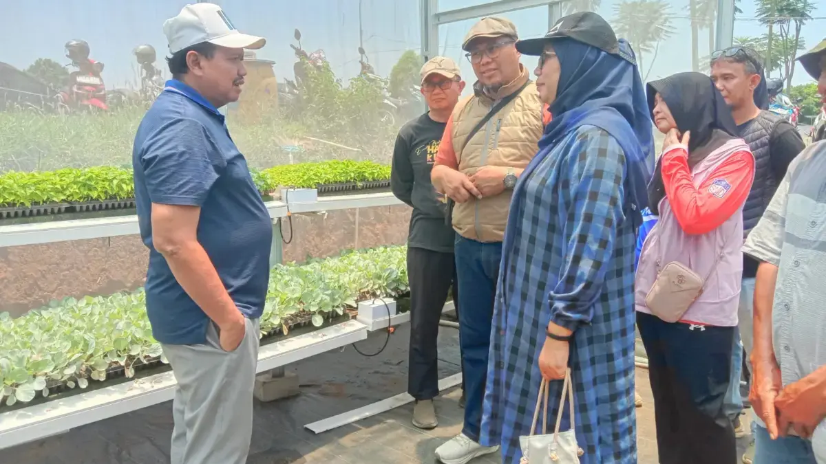 Bupati Dony Tinjau Green House Rancakalong Bupati Dony Tinjau Green House Rancakalong
