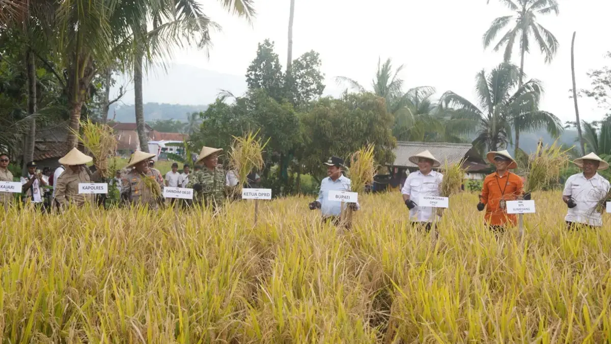 Panen Raya Program Revolusi Pertanian Panen Raya Program Revolusi Pertanian