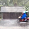 pengendara yang melintas ketika hujan.